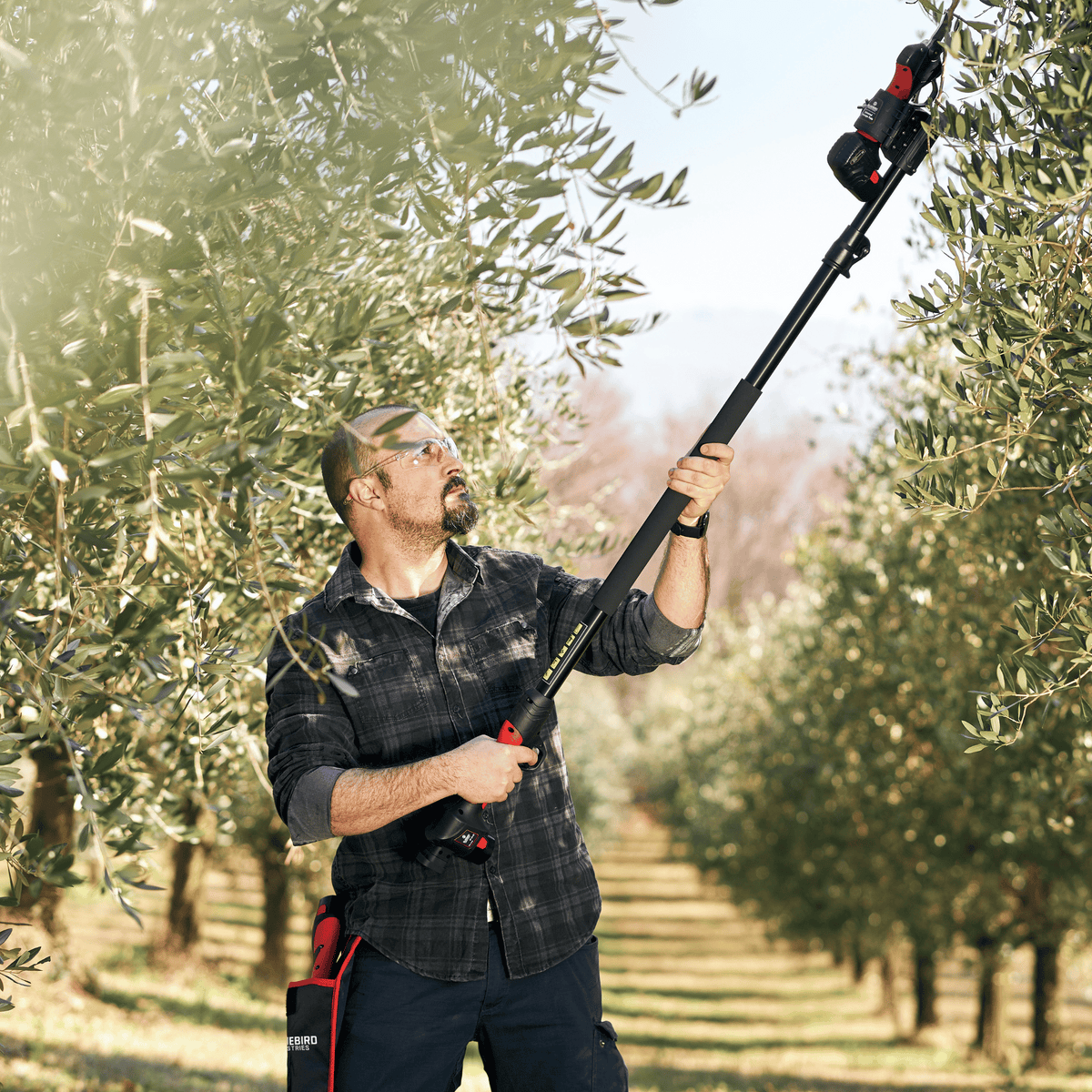 Bluebird EP 22-22 Extension Pole For Pruners – Tracmaster Ltd