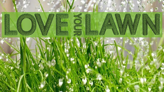 How To Care For Your Lawn