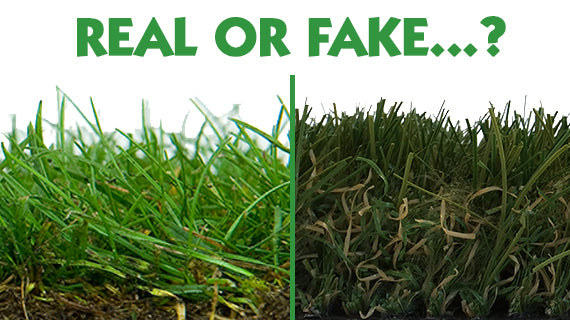 The Growth Of Artificial Grass - Tracmaster Ltd