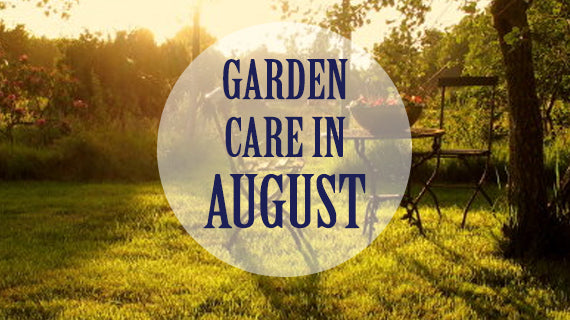 Tracmaster's Top 10 Gardening Jobs for August - Tracmaster Ltd
