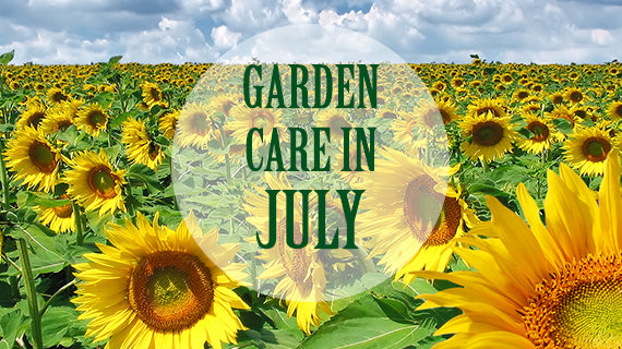 Tracmaster's Top 10 Gardening Jobs for July - Tracmaster Ltd