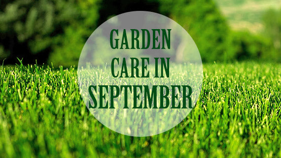 Tracmaster's Top 10 Gardening Jobs for September - Tracmaster Ltd