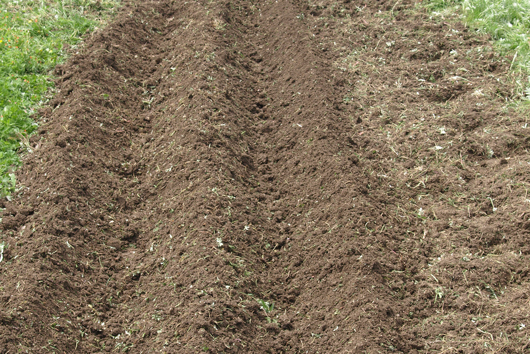 BCS Adjustable Ridger for BCS 750 – Tracmaster Ltd