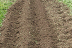 Tracmaster Ltd | BCS Adjustable Ridger attachment for BCS Two Wheel Tractors