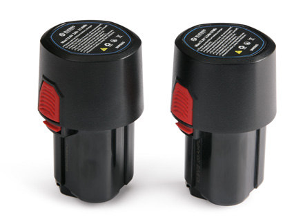 Bluebird Additional Batteries for 12V Products