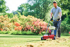 CAMON LS14 Lawn Scarifier