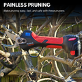 Bluebird PS 23-25 Battery Pruner 12V