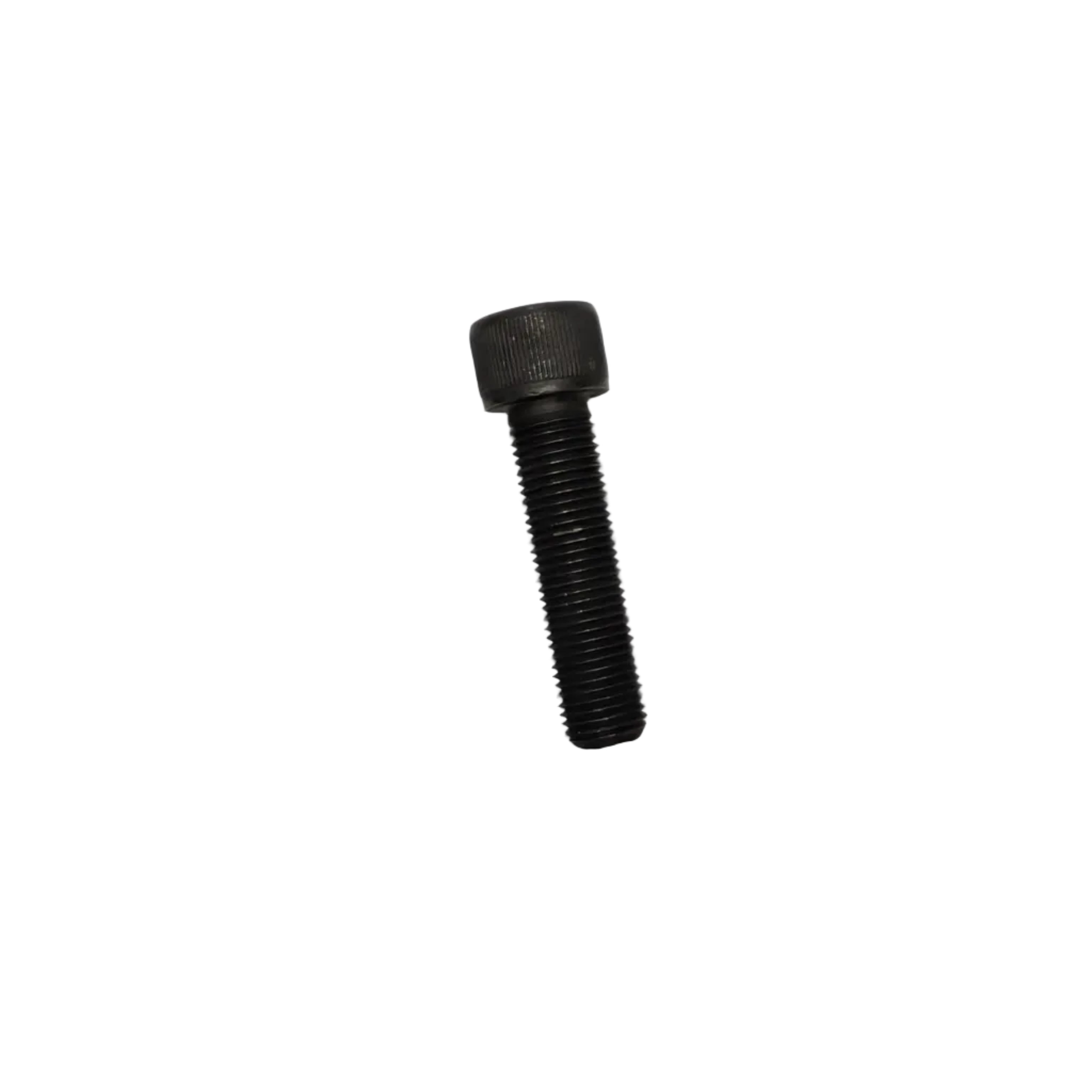 31100033 - Bolt