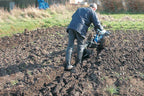 Single Plough attachment for BCS Two Wheel Tractors