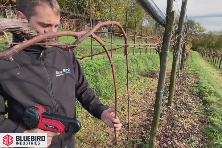 Video showing how the Bluebird Vine tying machine works