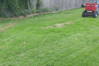 CAMON TD50 Top Dresser