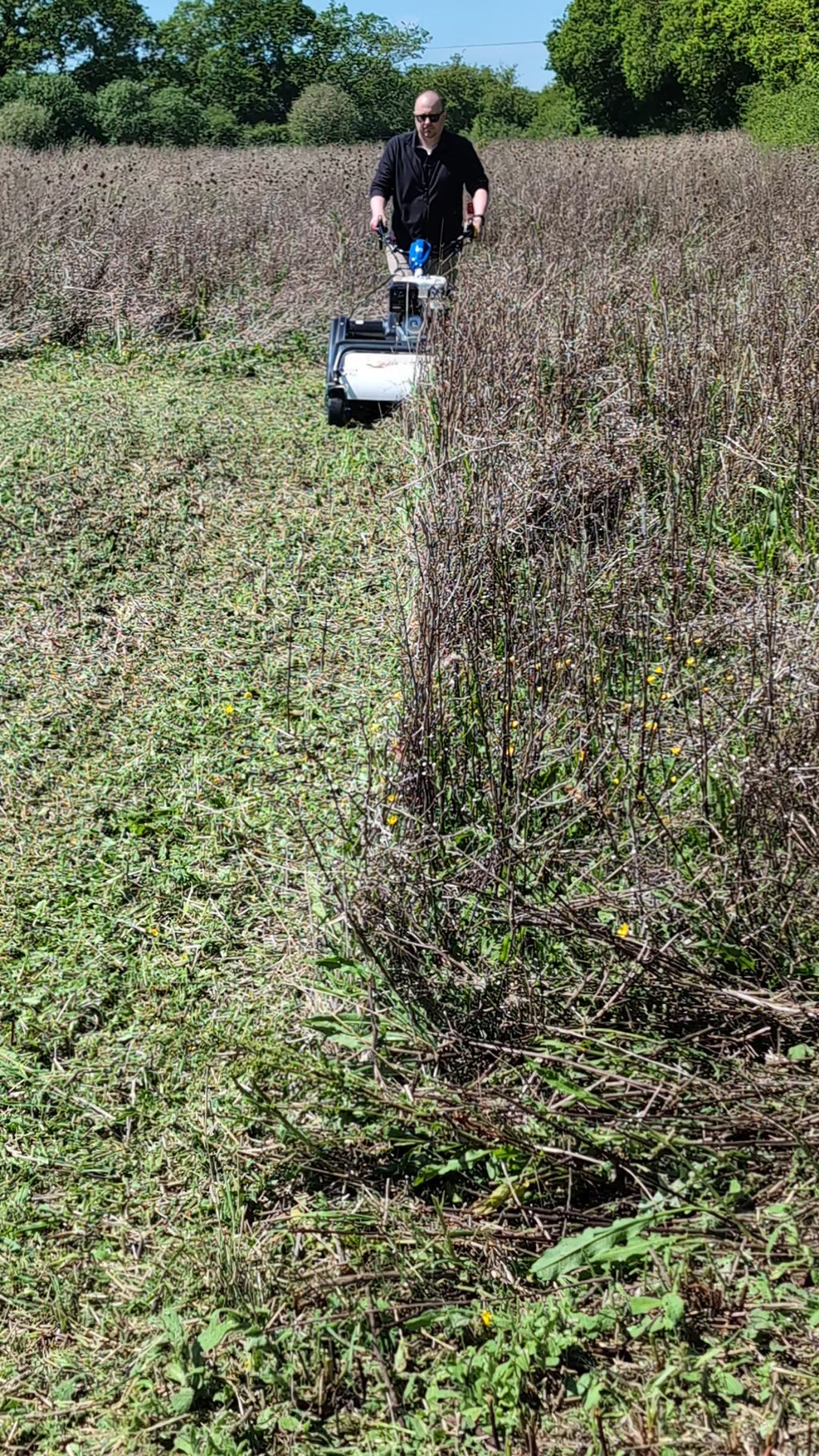 Barbieri G660 GX200 60cm Flail Mower
