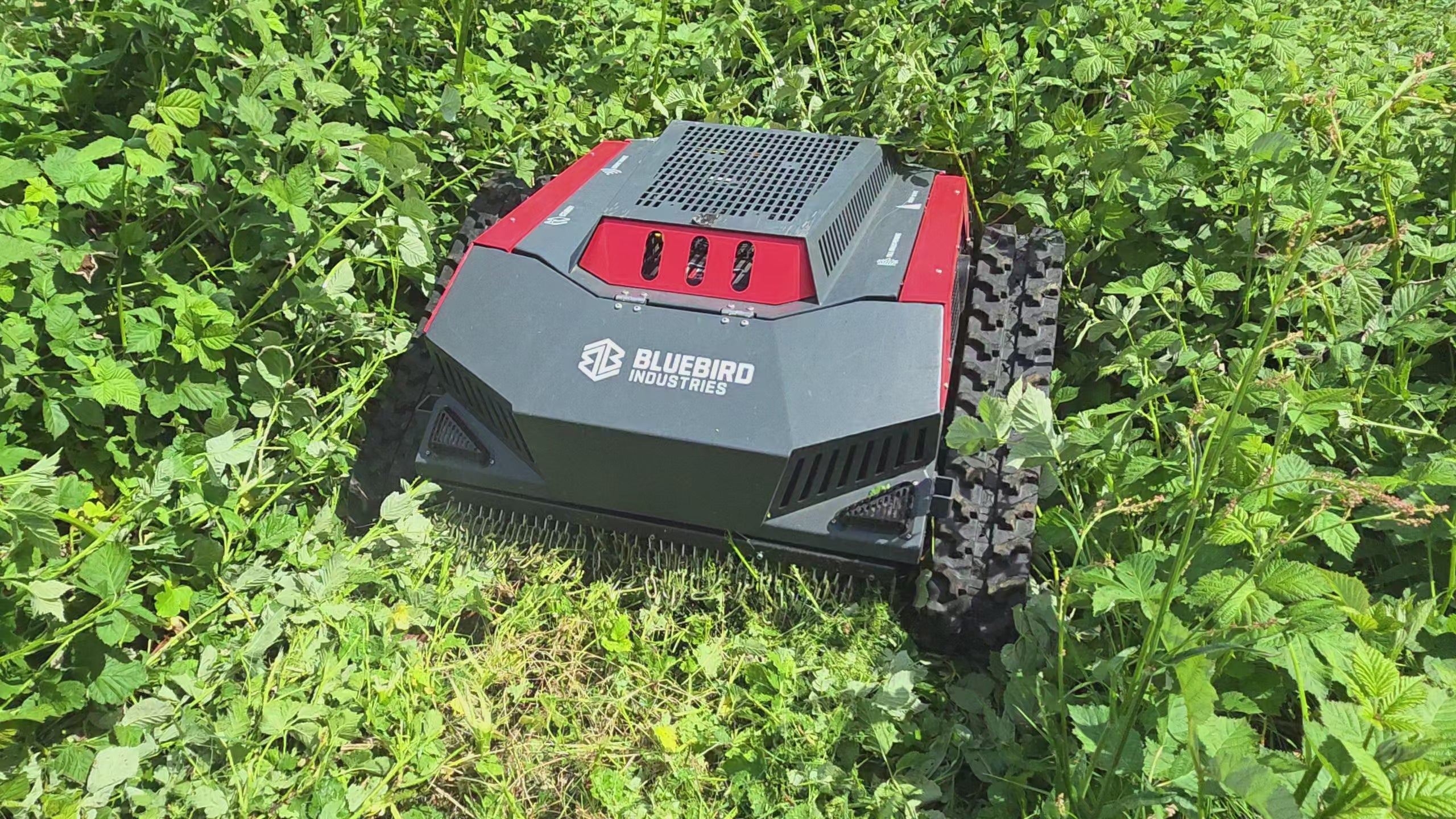 Bluebird FM 24-70 Remote Control Mower