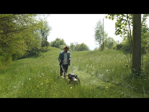 Bluebird FLO 7 Pro Wheeled Brushcutter